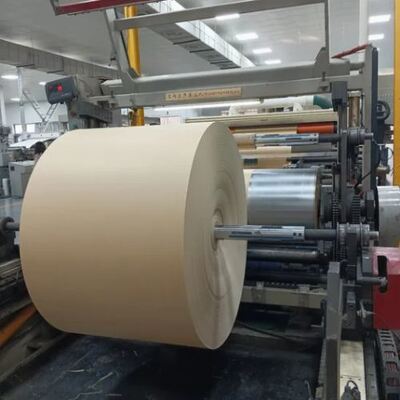 Купить Water Resistance PE Coated Paper Roll Factory Supply Disposable Cups online manufacture