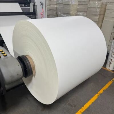 kupować Żywność Nowa dostawa OEM akceptuję PE powlekany papier rolka 6oz 7oz 8oz online manufacture