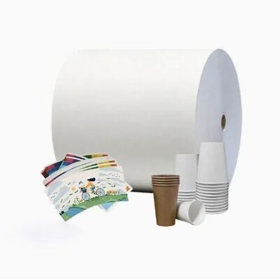 comprar Rollo de papel revestido con revestimiento en PE de doble cara de alta calidad compostable online manufacture