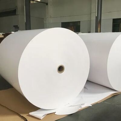 kopen Nieuwe ontwerpfabriek Leverancier Flexografie Printing PE Coated Paper Roll online manufacture