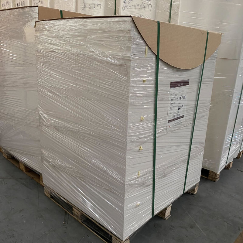 Customized PE Coated Paper Sheet For Die Cutting For Eco Friendly Food Packaging