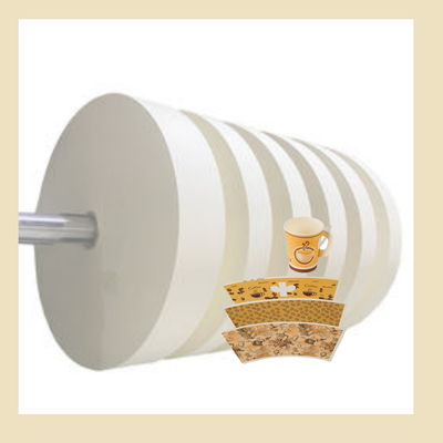 Customized Paper Cup Bottom Roll für Rohstoff Papierbecher mit FSC-Zertifizierung