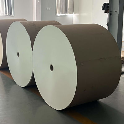 Biodegradable PE Coated Paper Roll for Disposable Paper Cups