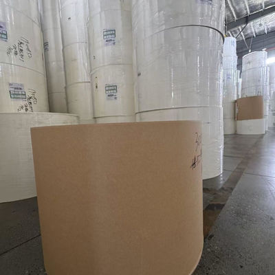 Brown Kraft Paper Roll For Making Food Container Salad Box