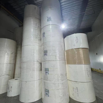 PE Coated Paper Roll  for Greaseproof and Waterproof Disposable Food Packaging