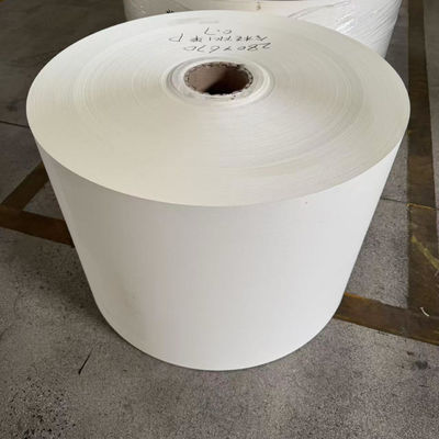 PE Coated Paper Roll Cupstock for food and beverage packaging