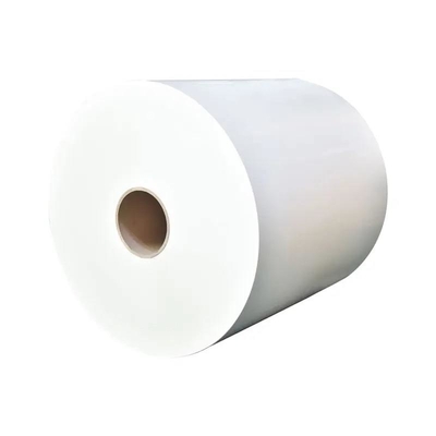 Customized Color and Logo for PE Coated Paper Roll for Branding and Marketing