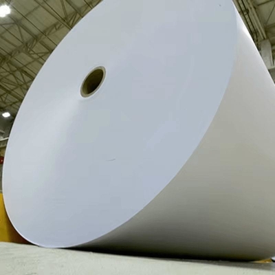Waterproof and Greaseproof PE Coated Paper Roll for Food Packaging Solutions
