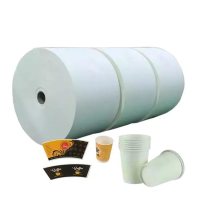 Eco-Friendly and Recyclable PE Coated Paper Roll for Food Packaging