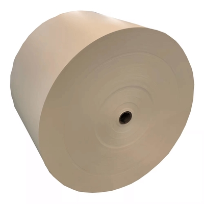 Customized PE Coated Kraft Paper Roll for Paper cups