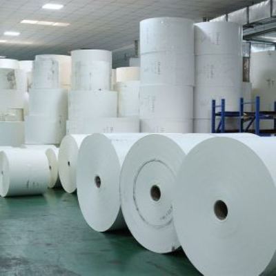 CustomOffect Or Flexographic Printing 100% Biodegradable PLA Coated Paper Cup Roll
