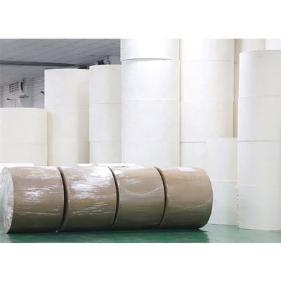 PLA Coated Paper Cup Fan Printing Paper Cup Raw Material Paper Customized shape