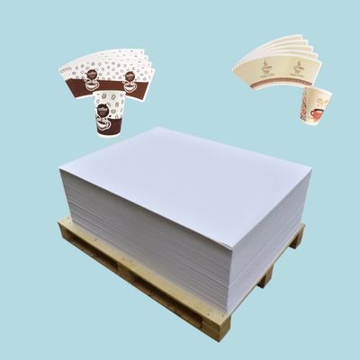 Raw Material PE Coated Paper In Sheet For Making Disposable Paper Cups