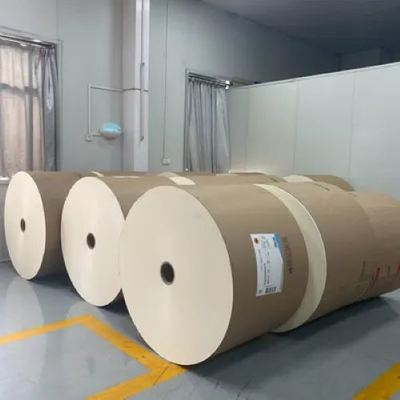 Biodegradable Factory Direct Sale Of PE Or PLA Paper Rolls For Making Cups