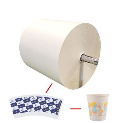 PE Coated Raw Material Food Packing Paper Roll With 500~1500mm Width For Paper Cup Fans