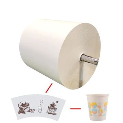 Waterproof PE Coated Paper Cup Fans With Custom Color Printing To Make Paper Cups