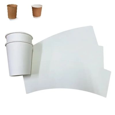 Die-cutting Paper Cup Raw Material Fans For Coffee Tea Cups customized size Weight 150-350gsm
