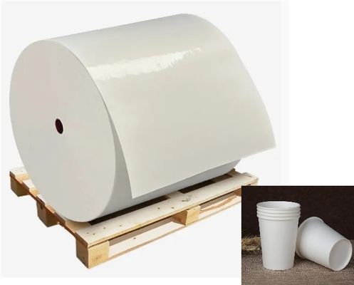 Export FDA Quality Waterproof PLA Coated Paper Rolls For Food Containers Pure Material