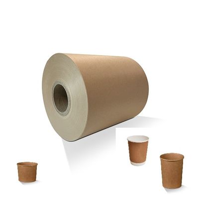 Recycled Raw Synthetic Paper Rolls with PE Coated for Coffee Cup Making for Factory