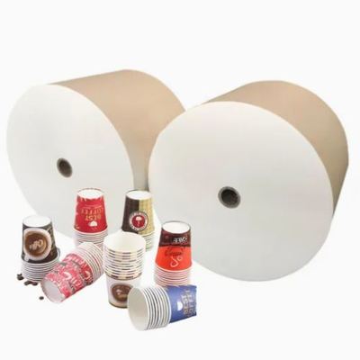 High Bulk Oilproof White Single PE Coated Paper Roll For Bowl Burst Resistance