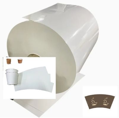 Eco-friendly Compostable PLA Coated Paper Roll Printing Roll Raw Material Paper Customized shape