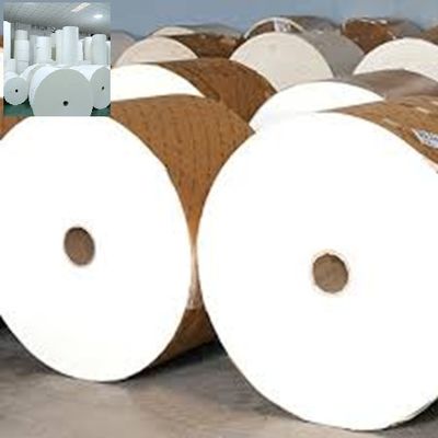 Craft Material PE/PLA coated paper roll Free Sample OEM FDA Quality for heavy Weight Customized Color