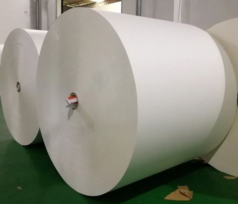 Biodegradable Hot/Cold Drinking Cup PLA Coated Paper Roll With Logo Printing For Paper Cups