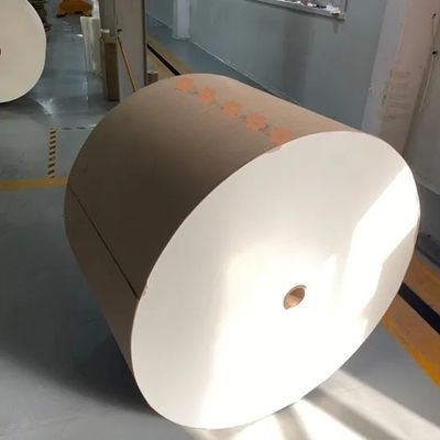 190g 210g PLA Coated Paper Cup Craft Roll stock For Coffee 100% Biodegradable Disposable