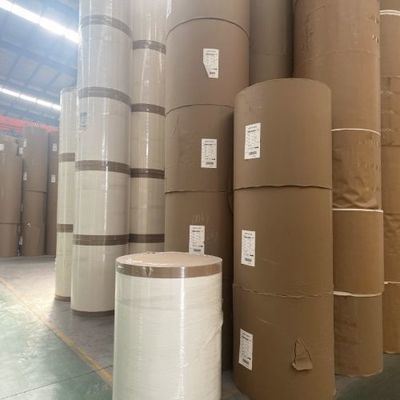 190/210 GSM Single PE Coated Cup Paper Roll for Coffee Cup Recycled Raw Material Eco friendly