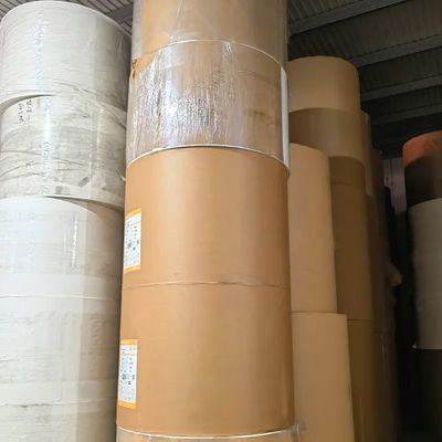 Paper Cup Raw Material Double PE Coated Kraft Paper Roll for Cups and Bowl Making