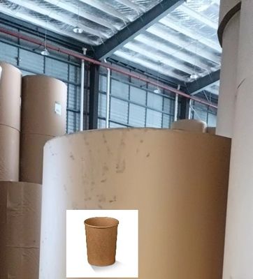 Customized Weight Virgin Wood Pulp Paper Roll PE Coating for Coffee Cups for School Lunch