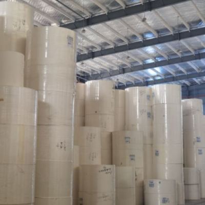 100% Virgin Wood Pulp Waterproof Raw Material Food Grade PE Coated Paper Cup Roll for Sale