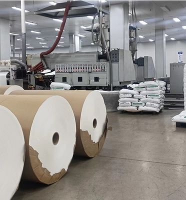 Strong moisture and grease barrier Durable Packing paper PE/PLA Coated Cup/bowl Paper Roll