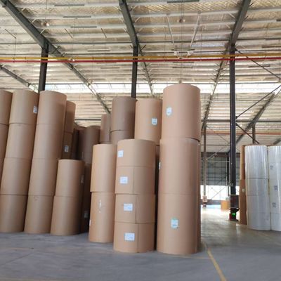 Made in China Price Pattern Customizable PE Coated Roll Paper for Hot and Cold Beverage Cups and Coffee Cup Fans