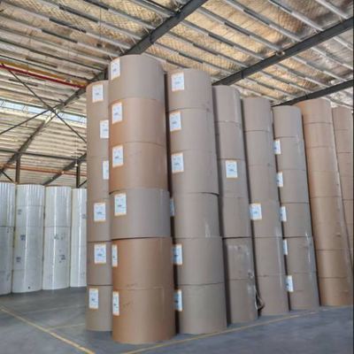 Multi-Weight Options PE Coated Roll Paper for Hamburger Wrap and Coffee Cup Fan Making