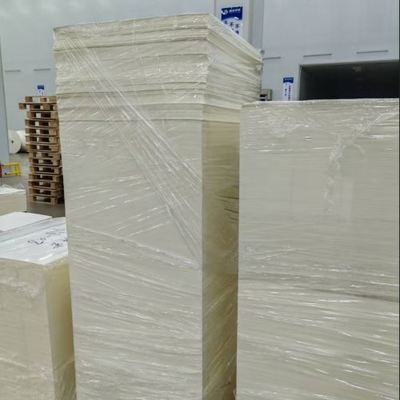Eco-friendly Biodegradable Wholesale Food-Grade Single Double Wall PE Coating Paper Cup Sheets