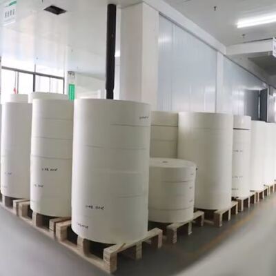 High Temperature Resistant Paper Cup Bottom Roll with PE Coated